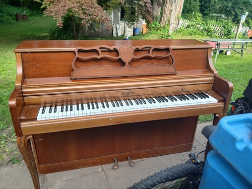 Beautiful rudolph wurlitzer - rudolph,
